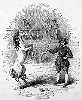 Labours: Banks's Horse, one of the performing marvels of