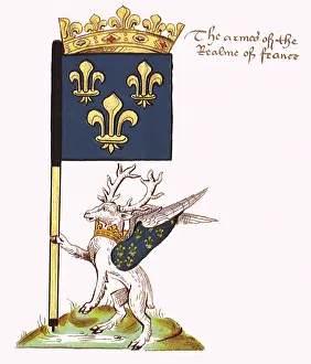Adorned: Banner of France