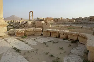 Tamar: The bar, Palmyra, Syria