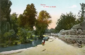 Strolling: Barada river in Damascus, Syria