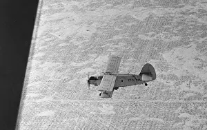 Crops: Barataevsky sovkhoz