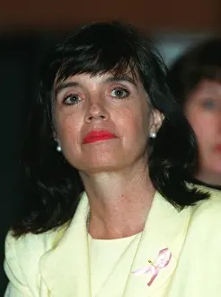 Stevenage: Barbara Follett MP