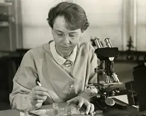 Mcclintock: Barbara McClintock, in her laboratory at Cold Spring