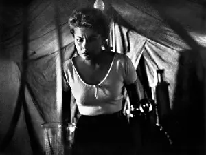Distributors: Barbara Wilkin - actress - celebrity