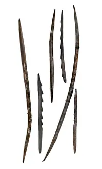Mesolithic: Barbed points from Star Carr