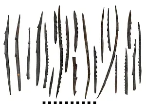 Mesolithic: Barbed points from Star Carr