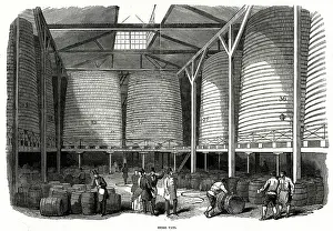 Vats: Barclay and Perkins Brewery 1847