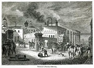 Barclays: Barclay's and Perkins Brewery 1841