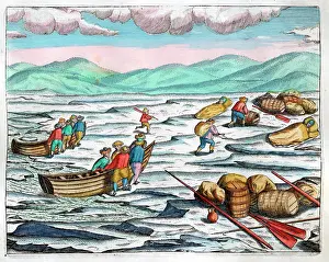 Barents: Barents expedition to Nova Zembla to find Northeast Passage