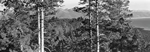 Taiga: Barguzinsky Nature Reserve, 1973