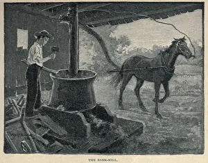 Lcgr1901: The Bark Mill. Young Grants special work in