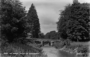 Barle: The Barle Valley at Simonsbath