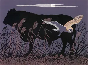 Hunts: BARN OWL/BULL MOONLIGHT