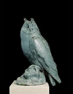 Bargello: Barn Owl: work by Giambologna