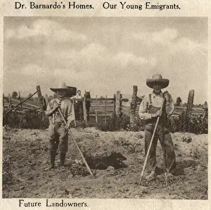 Benevolence: Barnardo's Emigrants in Canada