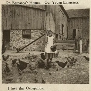Benevolence: Barnardo's Emigrants in Canada