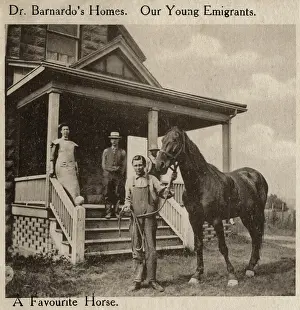 Benevolence: Barnardo's Emigrants in Canada