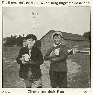 Piglets: Barnardo's Emigrants in Canada - Chums and their Pets