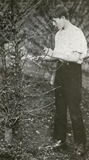 Unnamed: Barnardo's Home Gardener