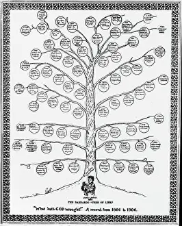 Barnardo: Barnardo's Tree of Life 1866-1906