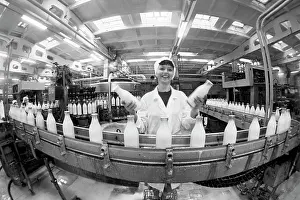 Barnaul: Barnaul dairy plant, 1984