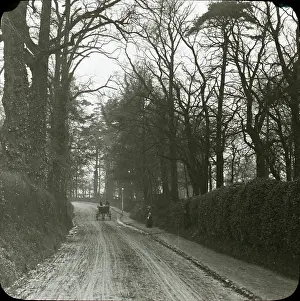 Mayplace: Barnehurst. Mayplace Road looking north
