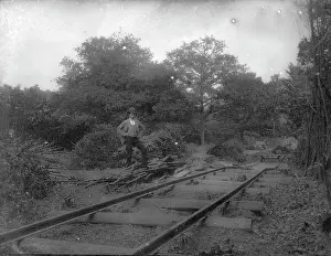 Barnehurst: Barnehurst railway in woods