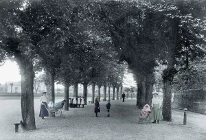 Barnstaple: Barnstaple, North Parade 1906