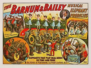 Prodigies: Barnum & Bailey - circus