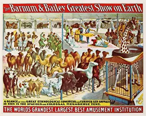 Grandest: Barnum & Bailey - circus