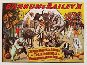 Troupes: Barnum & Bailey - circus