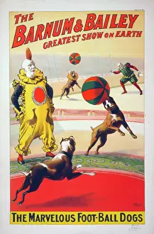 Barnum: The Barnum & Bailey greatest show on earth. The marvelous f