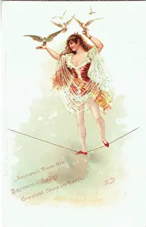 Tightrope: Barnum and Bailey's circus, the Greatest Show on Earth