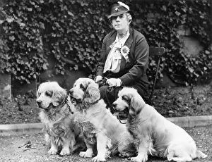 Baroness: BARONESS BURTONS DOGS