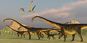Pteranodon: A Barosaurus dinosaur herd with Pteranodon reptiles