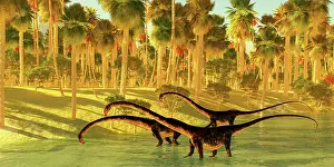 Shallow: Barosaurus dinosaurs come down to a jungle river