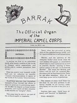 Rothwell: Barrak - The Camel Corps Review