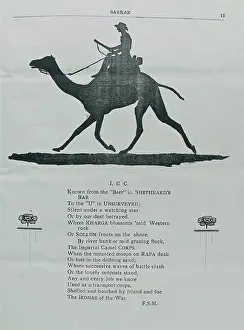 Rothwell: Barrak - The Camel Corps Review