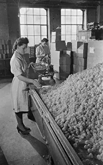 Barratts: Barratts Confectionery Works