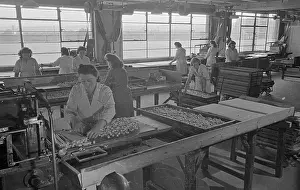 Barratts: Barratts Confectionery Works