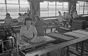 Barratts: Barratts Confectionery Works