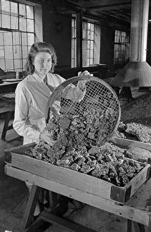 Sieve: Barratts Confectionery Works