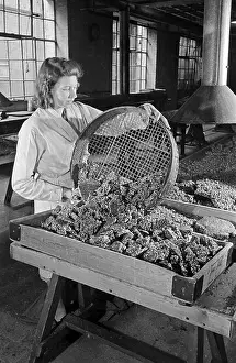 Sieve: Barratts Confectionery Works