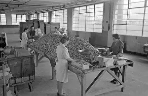 Barratts: Barratts Confectionery Works