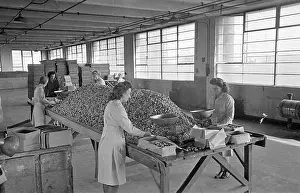 Barratts: Barratts Confectionery Works