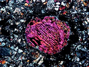 Nesosilicate: Barred olivine chondrule