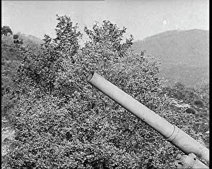 Barrell: The Barrell of an American Artillery Gun