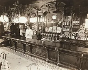 Bartender: bars - bartender - food and drink - NYC