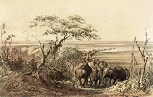 Chad: BARTH/AFRICA/LAKE CHAD
