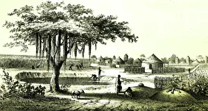 Chad: BARTH/AFRICA/MUSGU